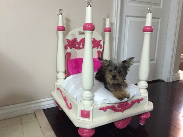 royal-pet-bed-from-old-table-dip-feed-4