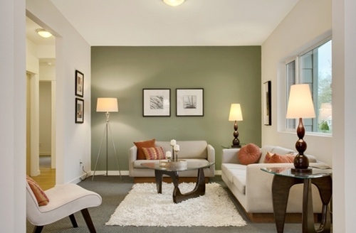 How-to-Choose-Living-Room-Color-2