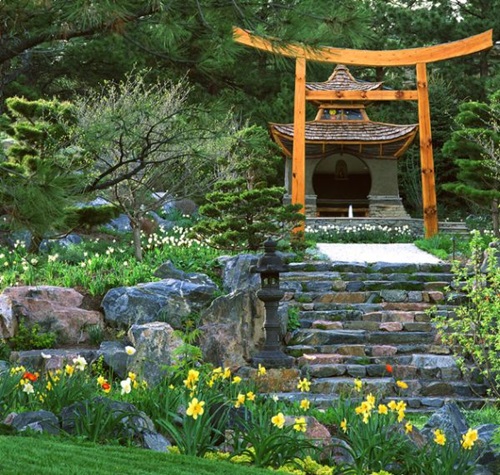 How-to-Create-a-Gorgeous-Japanese-Garden-4